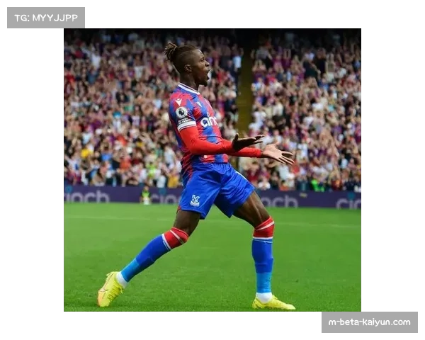 水晶宫凭借禁区外远射破门，上赛季13粒英超进球7个来自远射